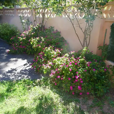 Le Coin Tranquille Apartment Vidauban Exterior photo