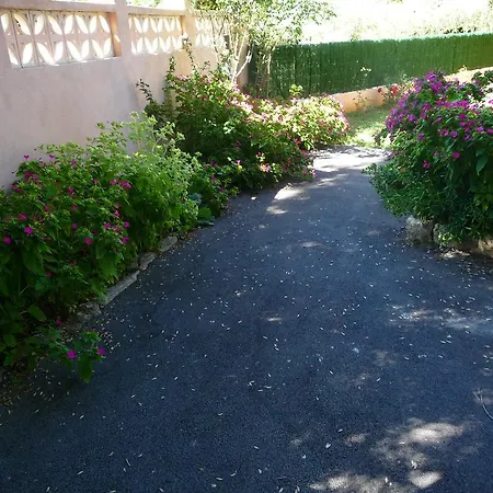 Le Coin Tranquille Apartment Vidauban Exterior photo