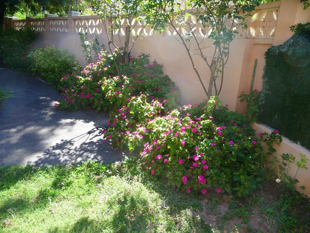 Apartment Le Coin Tranquille